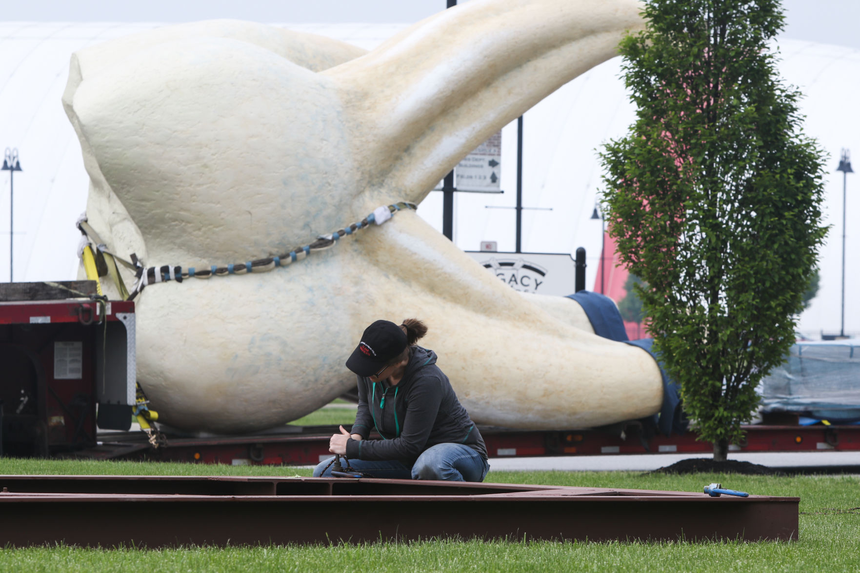 Artist Seward Johnson's "The Tooth" is implanted at the Crown Point Sportsplex